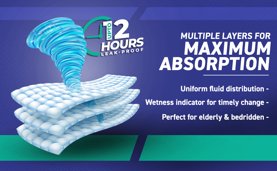 Sanmax Adult Diaper Pant Style | Pack of 10