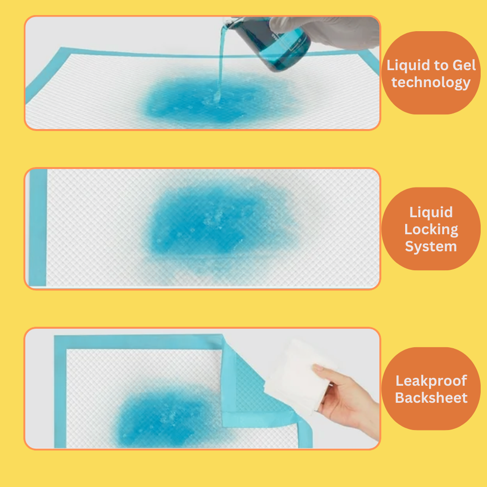Noddy Training Pads with Leak-Proof and Super Absorbing Power, Liquid Lock System | Pack of 30 Pcs of 60 x 90 cm