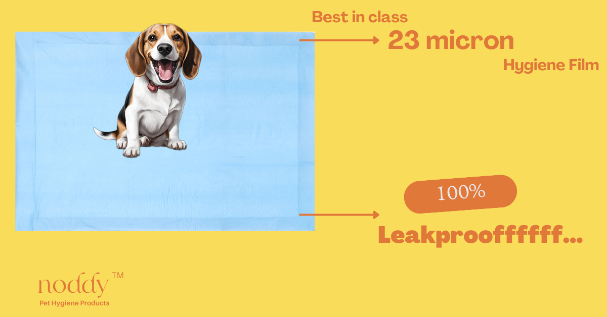 Noddy Training Pads with Leak-Proof and Super Absorbing Power, Liquid Lock System | Pack of 30 Pcs of 60 x 90 cm